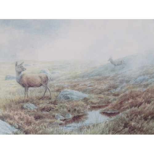 54 - English school 'Deers in a landscape' pair of prints 30x45cm each