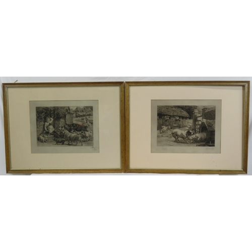 8 - Edmund Caldwell 'Pigs' pair of prints 25x35cm each