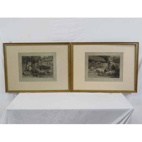 8 - Edmund Caldwell 'Pigs' pair of prints 25x35cm each