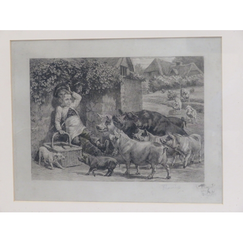 8 - Edmund Caldwell 'Pigs' pair of prints 25x35cm each