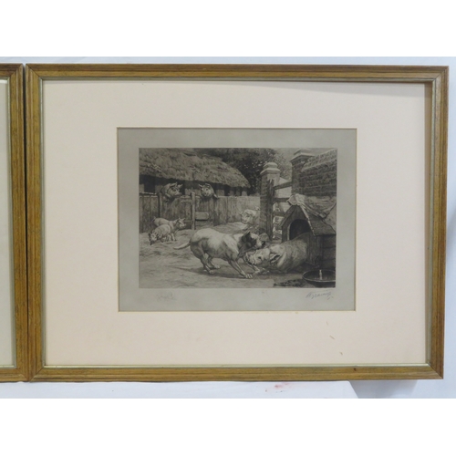 8 - Edmund Caldwell 'Pigs' pair of prints 25x35cm each