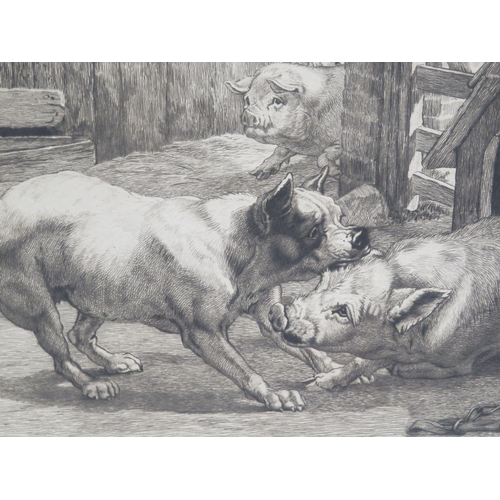 8 - Edmund Caldwell 'Pigs' pair of prints 25x35cm each