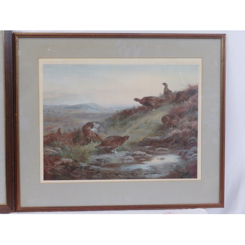 9 - Archibald Thorburn 'Grouse' two prints 34x54cm & 25x47cm