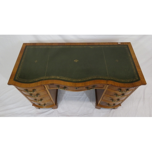 145 - Edwardian style serpentine fronted yew pedestal desk with shaped drawers, brass drop handles, on bra... 