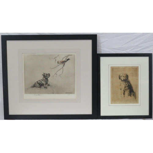 22 - Henry Wilkinson 'Dog and bird' & English school 'Puppy' pair of Etchings, 23x30cm & 22x17cm