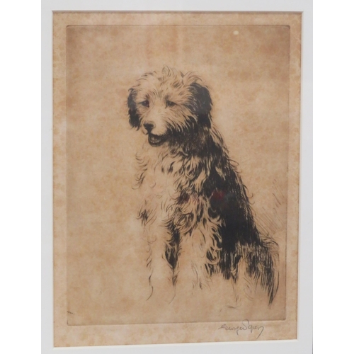 22 - Henry Wilkinson 'Dog and bird' & English school 'Puppy' pair of Etchings, 23x30cm & 22x17cm