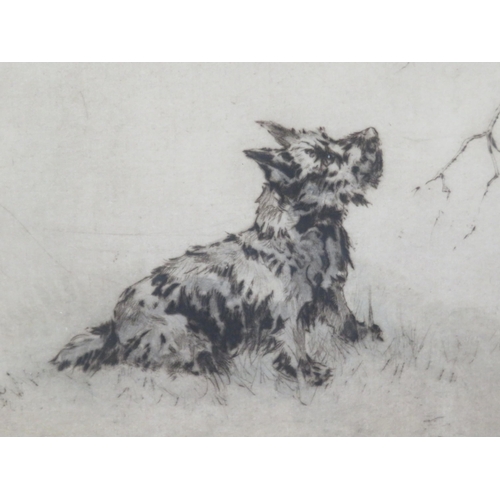 22 - Henry Wilkinson 'Dog and bird' & English school 'Puppy' pair of Etchings, 23x30cm & 22x17cm