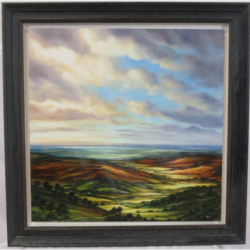 34 - Seamus Birdy 'Extensive landscape' oil on board 80x80cm signed