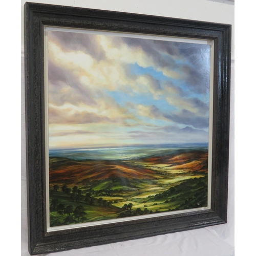 34 - Seamus Birdy 'Extensive landscape' oil on board 80x80cm signed