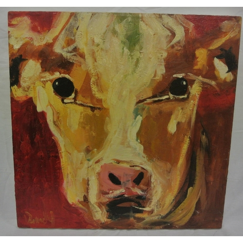 41 - Irish school 'Study of a cow' oil on canvas 61x61cm signed