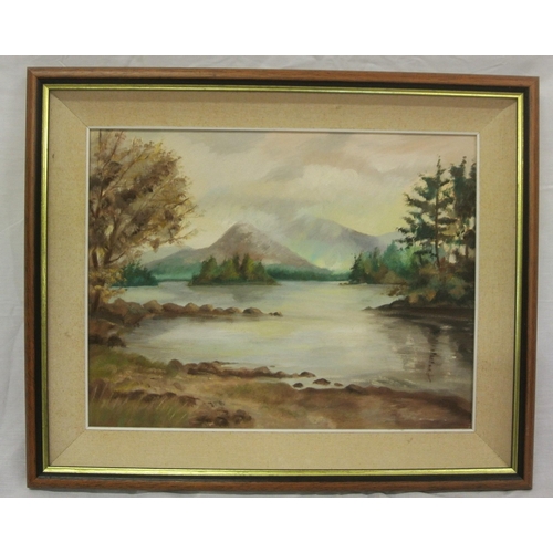 47 - Irish school 'Killarney lake' oil on canvas 34x44cm signed