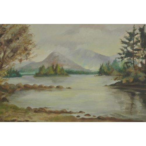 47 - Irish school 'Killarney lake' oil on canvas 34x44cm signed