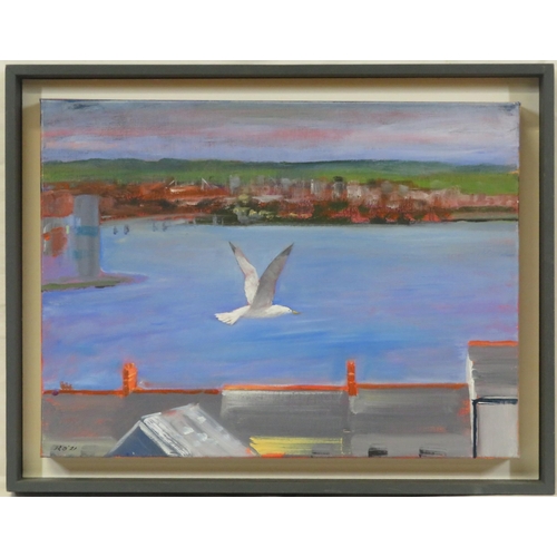 59 - Richard O'Connell 'Seagull' oil on canvas 30x40cm initialled, signed verso 2021