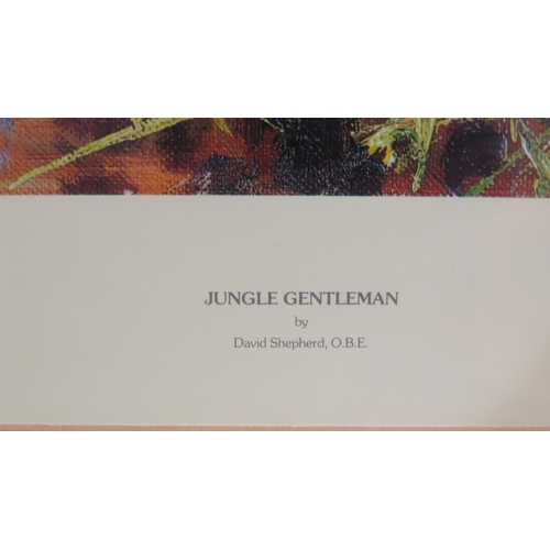 74 - David Shepherd OBE 'Jungle Gentleman' limited edition print, 42x72cm, signed, studio stamp