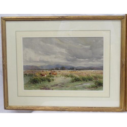 8 - English school 'Cattle in a meadow' watercolour 24x37cm and an engraving 'Monument' 30x50cm