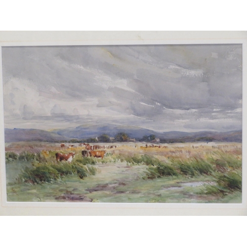 8 - English school 'Cattle in a meadow' watercolour 24x37cm and an engraving 'Monument' 30x50cm