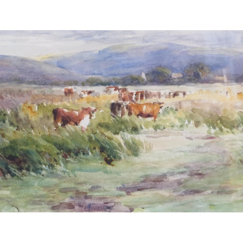 8 - English school 'Cattle in a meadow' watercolour 24x37cm and an engraving 'Monument' 30x50cm