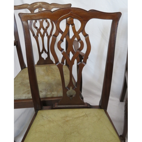 367 - Set of six Chippendale style dining chairs with pierced wheatsheaf splats, drop-in seats, on scroll ... 