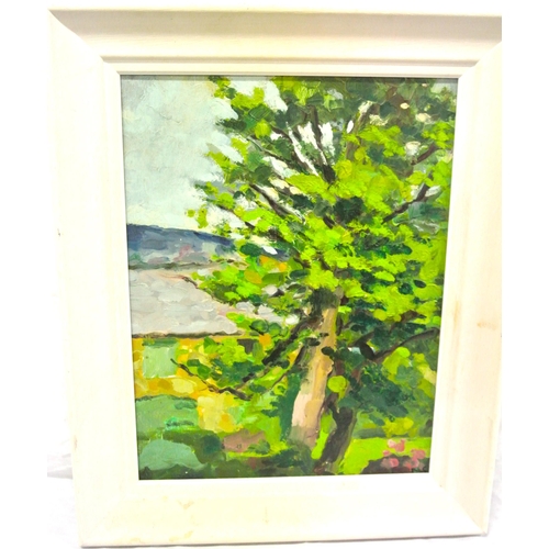 52 - Nuala Stephenson 'Towards Howth from Blackrock park' oil on board 40x30cm initialled