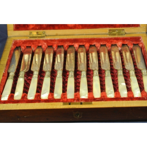 25 - 24 piece Mother of Pearl handled canteen of cutlery in fitted presentation case