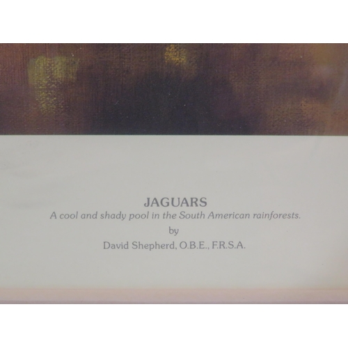 35 - David Shepherd OBE 'Jaguars' limited edition print 40x70cm signed
