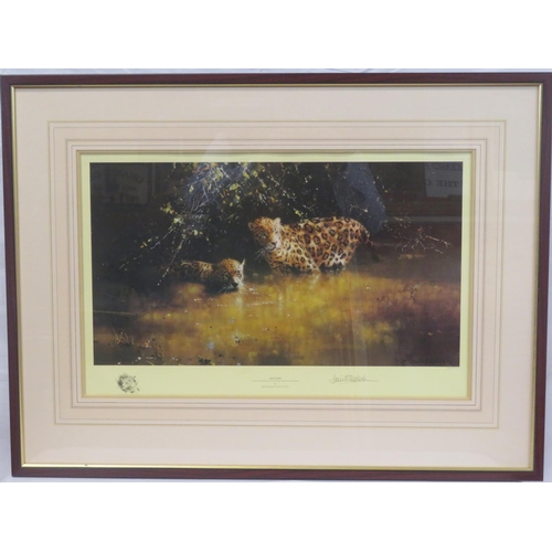 35 - David Shepherd OBE 'Jaguars' limited edition print 40x70cm signed