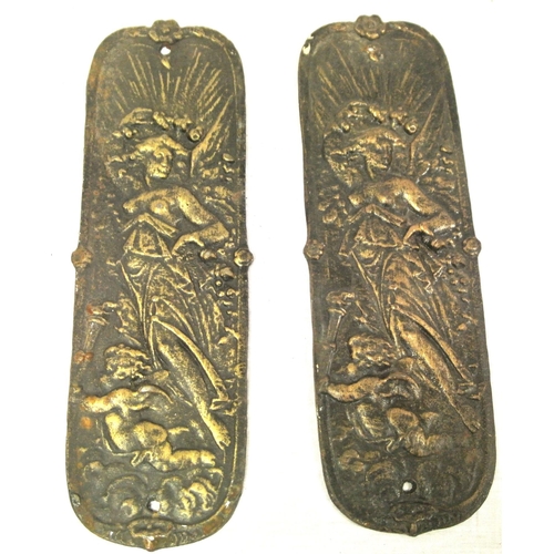 123 - Pair of cast iron door push plates