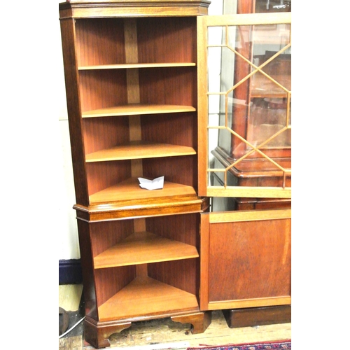 315 - Edwardian style mahogany corner display cabinet with glazed door, shelved interior, shelved press un... 