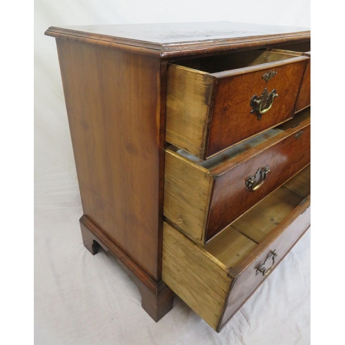 265 - Edwardian walnut chest of 2 short and 3 long drawers wth brass drop handles and escutcheons, on brac... 