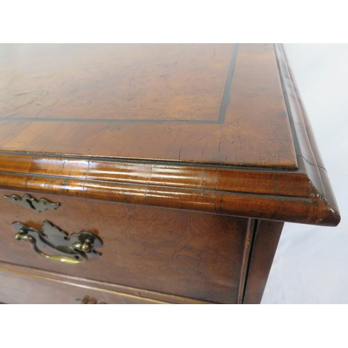 265 - Edwardian walnut chest of 2 short and 3 long drawers wth brass drop handles and escutcheons, on brac... 