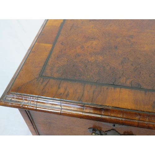 265 - Edwardian walnut chest of 2 short and 3 long drawers wth brass drop handles and escutcheons, on brac... 