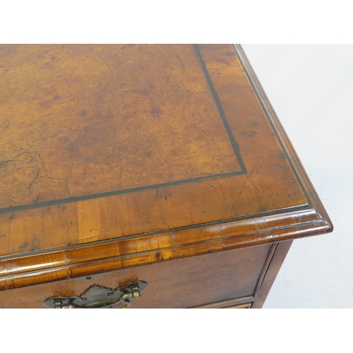 265 - Edwardian walnut chest of 2 short and 3 long drawers wth brass drop handles and escutcheons, on brac... 