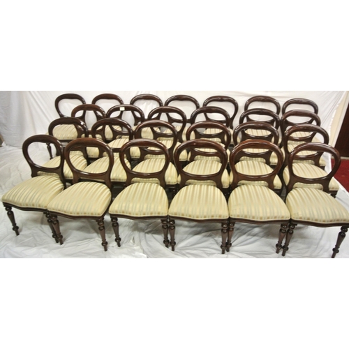 360 - Set of 24 Victorian design mahogany balloon back boardroom or dining chairs with serpentine fronted ... 