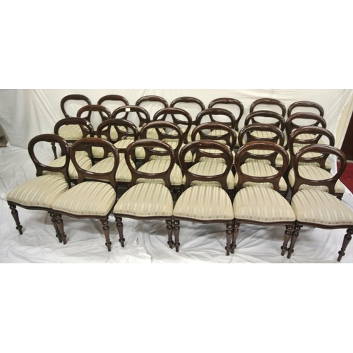 360 - Set of 24 Victorian design mahogany balloon back boardroom or dining chairs with serpentine fronted ... 