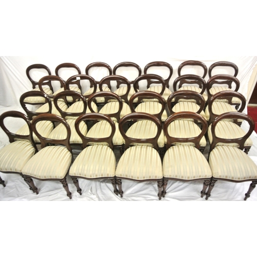 360 - Set of 24 Victorian design mahogany balloon back boardroom or dining chairs with serpentine fronted ... 