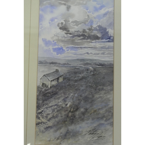 72 - Peter Shaw 'Long forgotten' watercolour, H27x13cm, signed