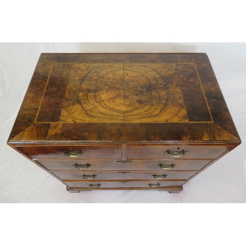 160 - Edwardian inlaid & crossbanded mahogany & walnut chest of 2 short & 3 long drawers with brass drop h... 