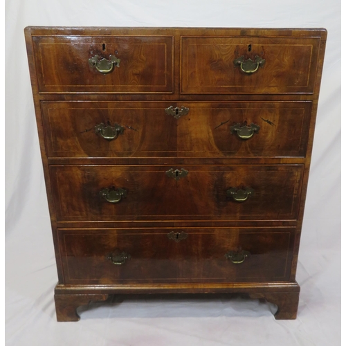 160 - Edwardian inlaid & crossbanded mahogany & walnut chest of 2 short & 3 long drawers with brass drop h... 