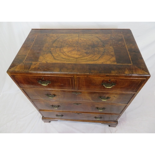 160 - Edwardian inlaid & crossbanded mahogany & walnut chest of 2 short & 3 long drawers with brass drop h... 