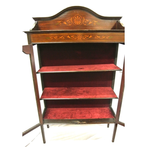 95 - Edwardian inlaid mahogany display cabinet with shaped back, glazed doors, shelved interior, on squar... 