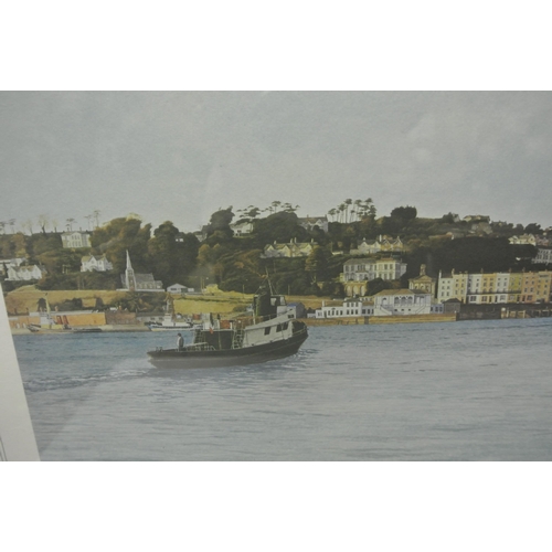 8 - Mark Hathaway 'Cove of Cork' print 38x78cm signed