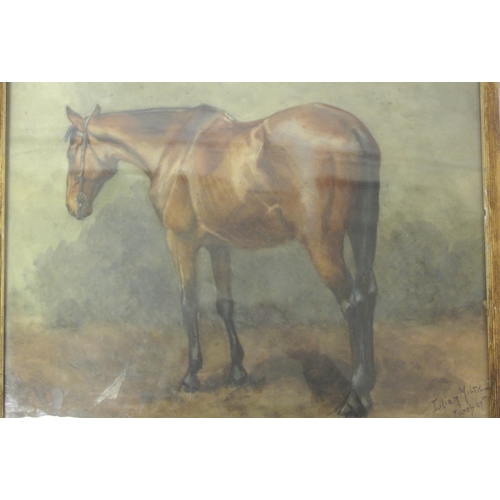 6 - Lilian Milne 'Study of a horse' watercolour, 34x42cm signed