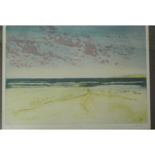 68 - David Goldberg 'Rinroe' colour etching & aquatint, 27x36cm, initialled, titled verso