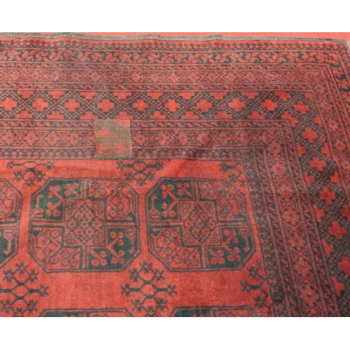 179 - Rich red ground Afghan double knot carpet with traditional Bokhara design, with elephant footprint d... 