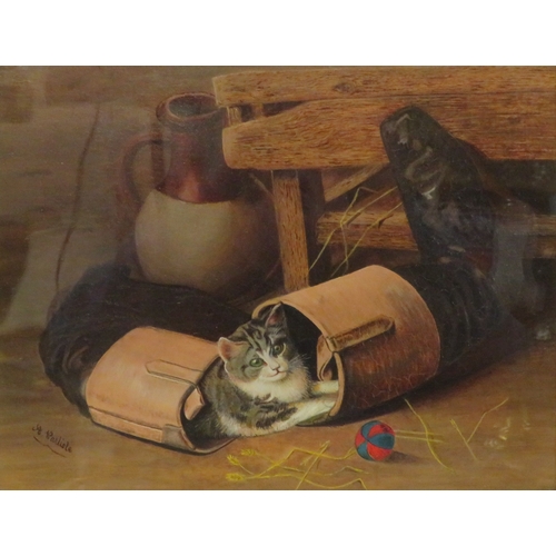 36 - A Carlisle 'Study of a playful cat' oil on canvas 30x40cm signed