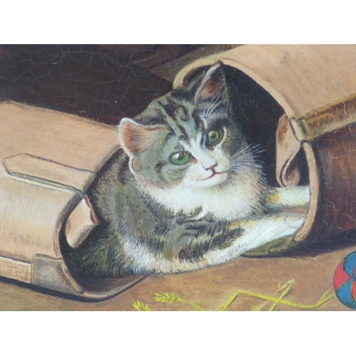 36 - A Carlisle 'Study of a playful cat' oil on canvas 30x40cm signed