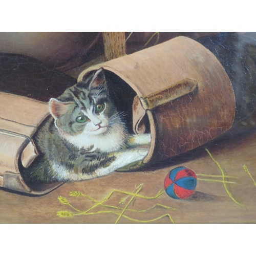 36 - A Carlisle 'Study of a playful cat' oil on canvas 30x40cm signed