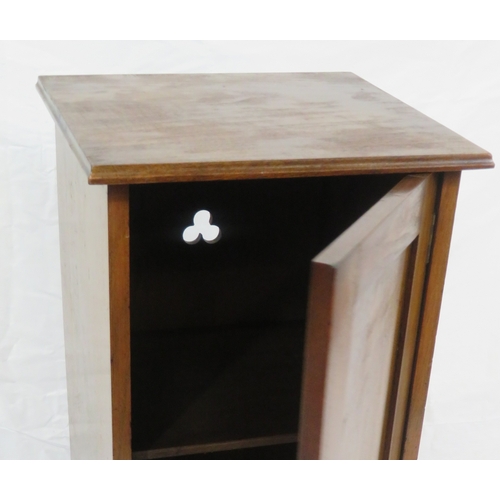 91 - Edwardian mahogany locker with panelled door & shelved interior