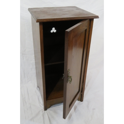 91 - Edwardian mahogany locker with panelled door & shelved interior