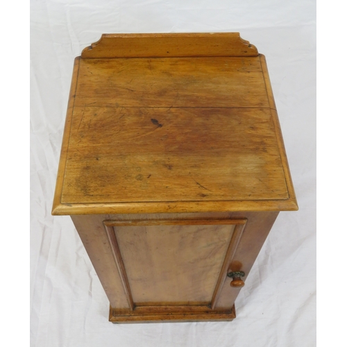 99 - Edwardian walnut locker with panelled door & shelved interior